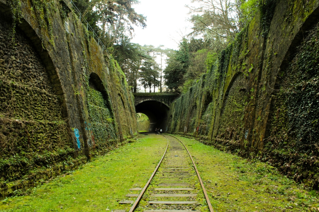 Photo de la petite ceinture à Paris