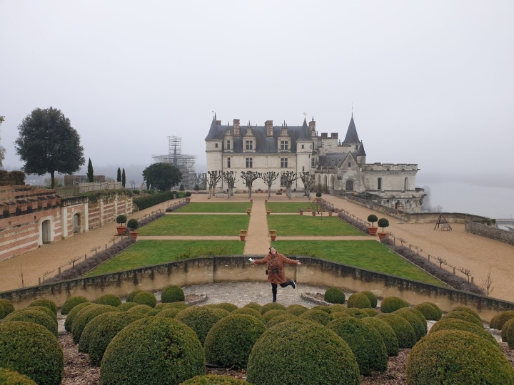 photo de Château Royal d'Amboise
