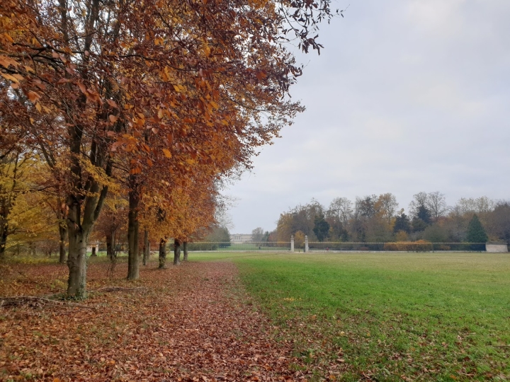 photo de Château de Compiègne